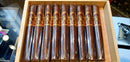 Oliva - Serie V - Toro - 6x60