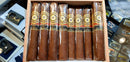 Perdomo - 20th Anniversary - Robusto Sungrown