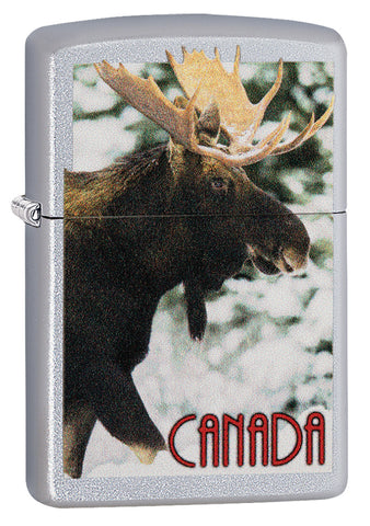 Canada Moose - 91908 - Zippo