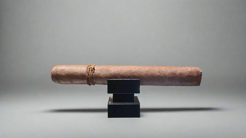 Cigar on a stand in a store with 'Casablanca' branding. CAO_-_Amazon_Basin