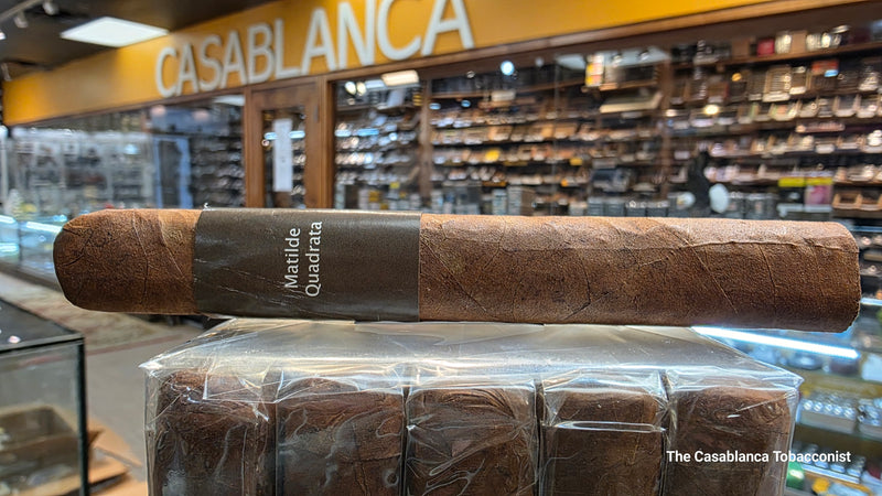 Matilde - Quadrata - Toro Bravo