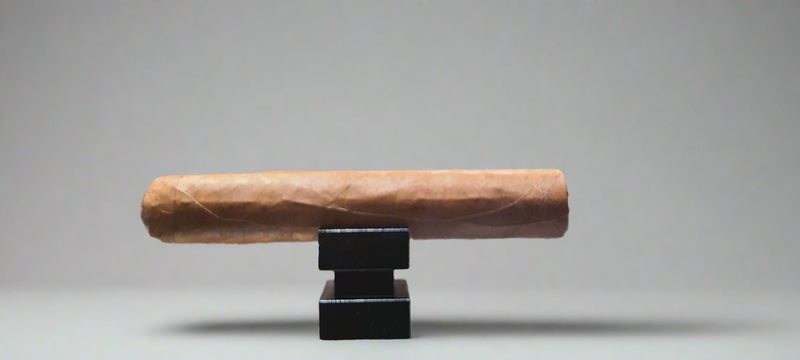 The_Roller_Ash_-_6_x_66