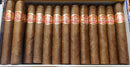 Partagas Shorts
