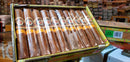 Coyol Robusto - Box of 20 - Alec Bradley
