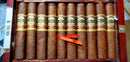 Short Robusto - Casa Magna