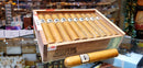 Charter Oak - Grande - Connecticut Broadleaf - Foundation Cigars