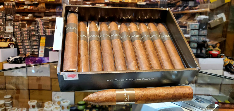 Macanudo - Coffee - Bellicoso