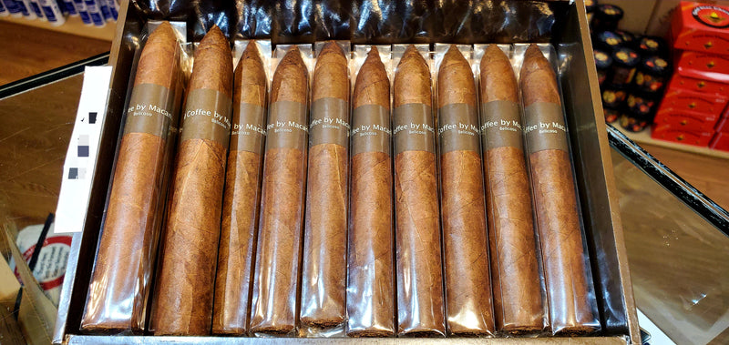 Macanudo - Coffee - Bellicoso