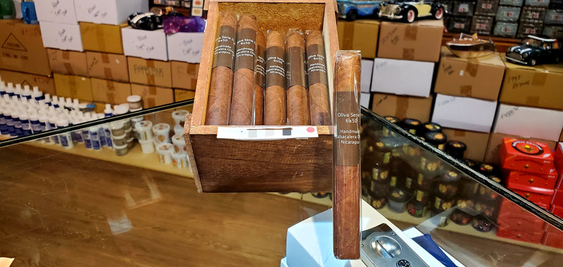 Oliva - Serie G - Toro