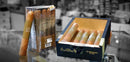 Pack of 12 - Robusto - Selection - Cusano

