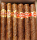 Quintero - Petit Quintero