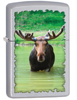 Souvenir Canada Moose -205-078179